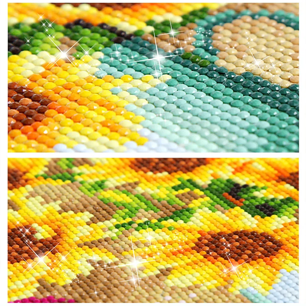 Kits de pintura de diamante 5D - Resin Art For Beginner reseña y precio